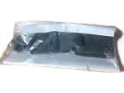 Honda Passport Seat Belt Buckle - 04863-TGS-A00ZA