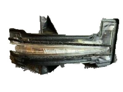 2019 Honda Odyssey Side Marker Light - 34300-TZ3-A01