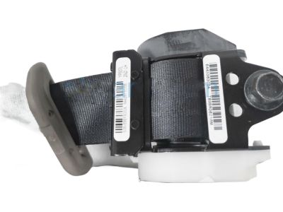 Honda 04828-TG7-A00ZA