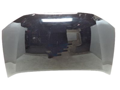 2010 Honda Insight Hood - 60100-TM8-A90ZZ