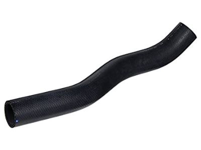 Honda 19501-RV0-A00 Hose, Water (Upper)