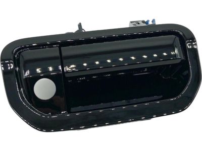2017 Honda Ridgeline Tailgate Handle - 74811-T6Z-A11ZF