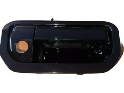 2017 Honda Ridgeline Tailgate Handle - 74811-T6Z-A11ZF