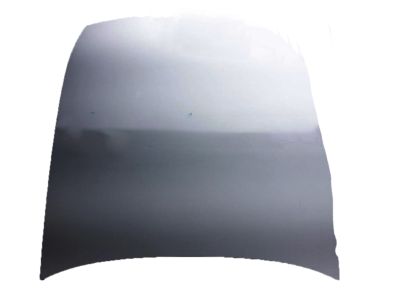 2006 Honda Accord Hood - 60100-SDB-A90ZZ