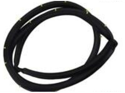 Honda Ridgeline Weather Strip - 72310-SJC-A01