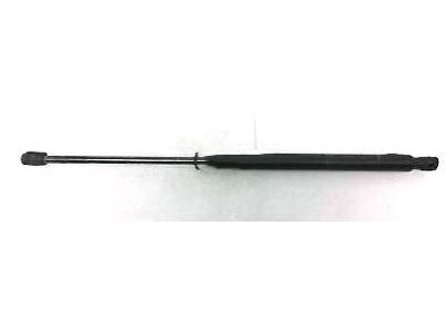 Honda Crosstour Tailgate Lift Support - 74820-TP6-A01