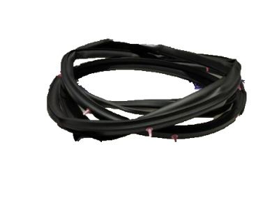 Honda 72350-SWA-A02 Weatherstrip, L. FR. Door