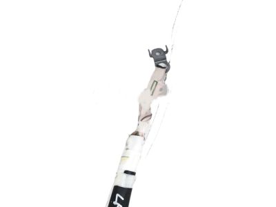 2018 Honda Accord Air Bag - 78875-TVA-A81