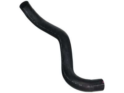 2015 Honda Civic Radiator Hose - 19506-RX0-A01