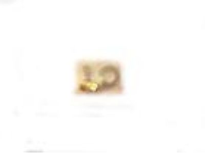 Honda Carburetor Needle And Seat Assembly - 16011-PK1-005