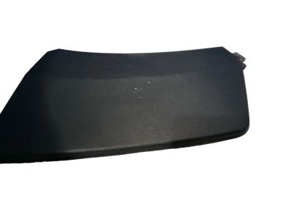 Honda 08P21-T6Z-100A1