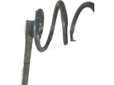 Honda 51406-TGH-A02 Spring, Front Left