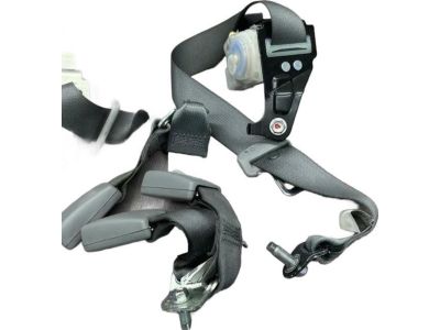 2014 Honda Accord Seat Belt - 04828-T2F-A00ZB
