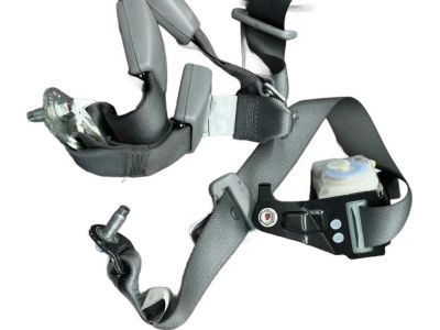 2014 Honda Accord Seat Belt - 04828-T2F-A00ZB