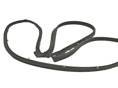 Honda Civic Door Seal - 72350-TBA-A01