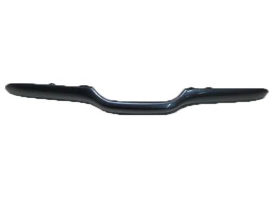 Honda Tailgate Handle - 74810-SZA-A02ZB