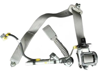 Honda 04816-SWA-A20ZA