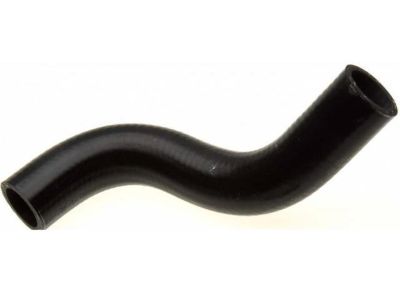 Honda 19502-PRA-000 Hose, Water (Lower)