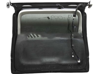 Honda 68100-T0G-A73ZZ