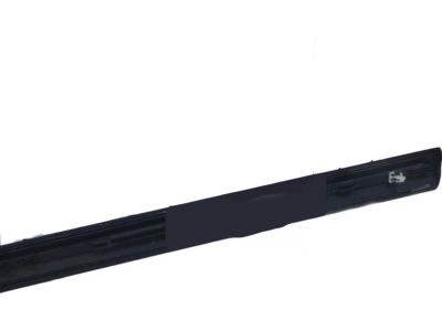 2007 Honda Civic Door Moldings - 75302-SNE-A01ZK