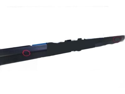 2007 Honda Civic Door Moldings - 75302-SNE-A01ZK