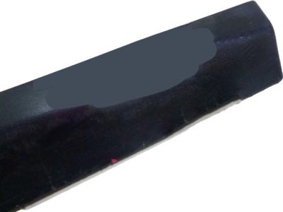 2007 Honda Civic Door Moldings - 75302-SNE-A01ZK