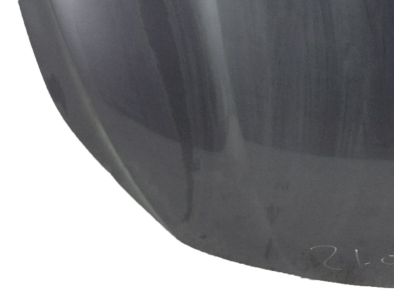 Honda 60100-TXM-A90ZZ Hood Complete (Dot)