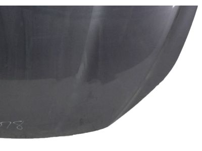 Honda 60100-TXM-A90ZZ Hood Complete (Dot)