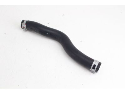 2020 Honda Odyssey Cooling Hose - 19501-5MR-A00