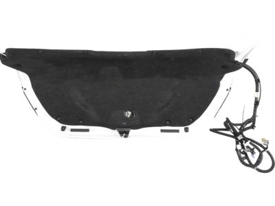 Honda Trunk Lids - 68500-TR3-A30ZZ