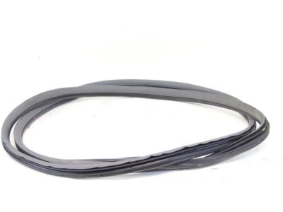 2006 Honda Accord Hybrid Door Seal - 72355-SDA-305ZB