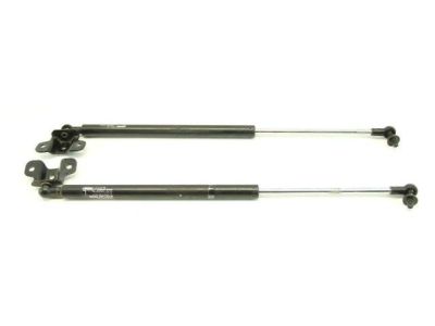 Honda Accord Lift Support - 74195-TA1-305