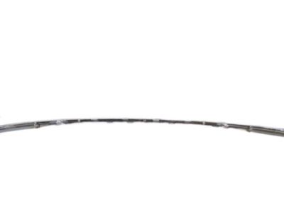 Honda 71503-T2M-T50 Molding, RR. Bumper