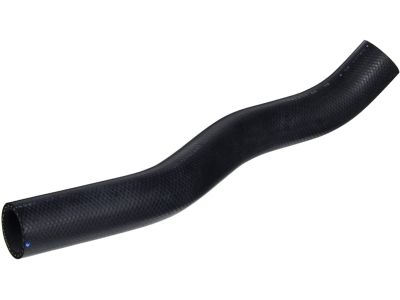 2004 Honda Accord Radiator Hose - 19501-RCA-A00