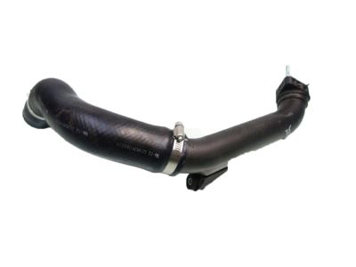 Honda 17283-5AA-A01 Hose,Intcler Inle