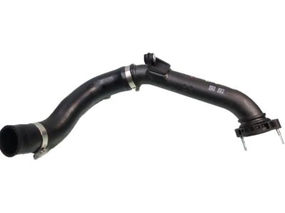 Honda 17283-5AA-A01 Hose,Intcler Inle