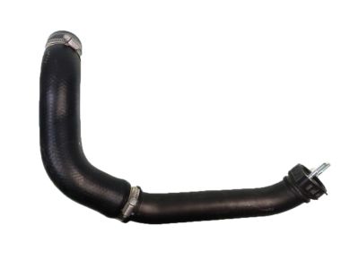 Honda 17283-5AA-A01 Hose,Intcler Inle