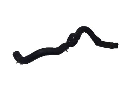 Honda 19504-PZA-000 Hose, Water (Lower) (B)