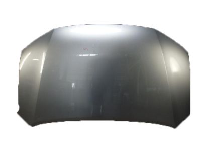 2005 Honda Insight Hood - 60100-S3Y-A90ZZ