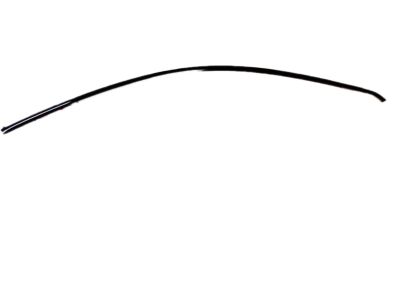 2003 Honda Accord Door Moldings - 72425-SDN-A02ZA