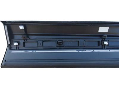 2022 Honda CR-V Hybrid Door Moldings - 75332-TLC-A01