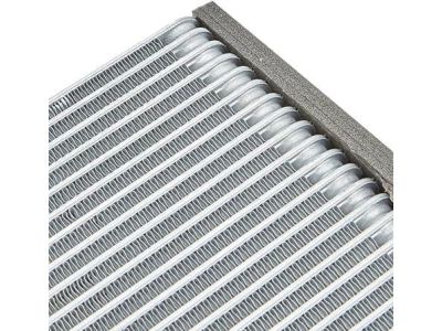 Honda Civic Evaporator - 80211-SVA-A01