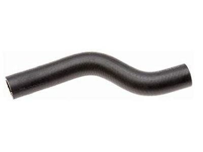 Honda Fit Radiator Hose - 19501-RB1-000