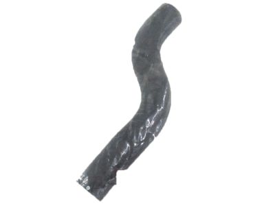 Honda 19501-RB1-000 Hose, Water (Upper)