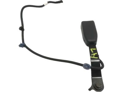 Honda 04816-T6Z-A30ZA