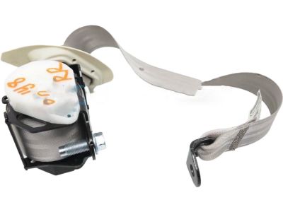 Honda 04824-T0A-A00ZB