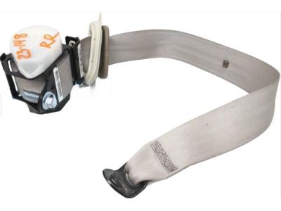 Honda 04824-T0A-A00ZB