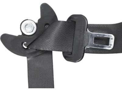 2017 Honda Accord Seat Belt - 04814-T2F-A00ZG