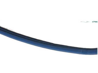 Honda 72350-S3Y-003 Weatherstrip, L. FR. Door