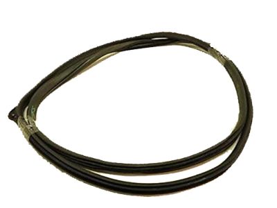 Honda CR-V Door Seal - 72855-SWA-A01ZA